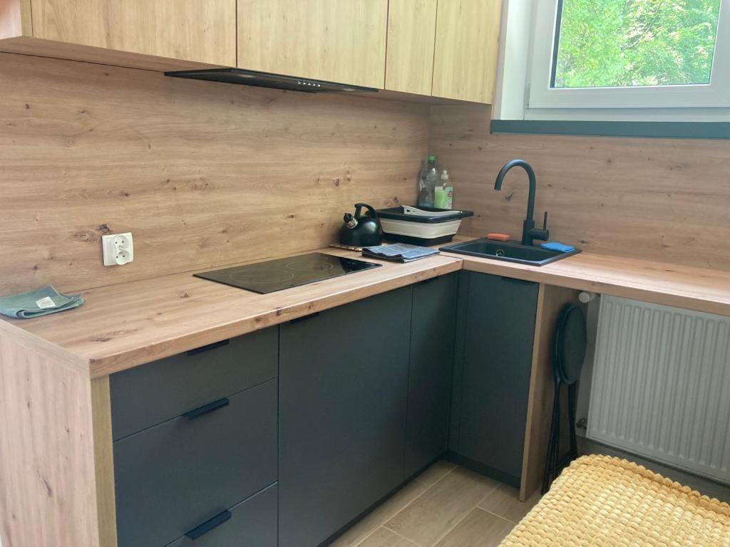 Lemon Apartment Ustron